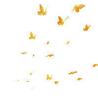 Flying Butterfly